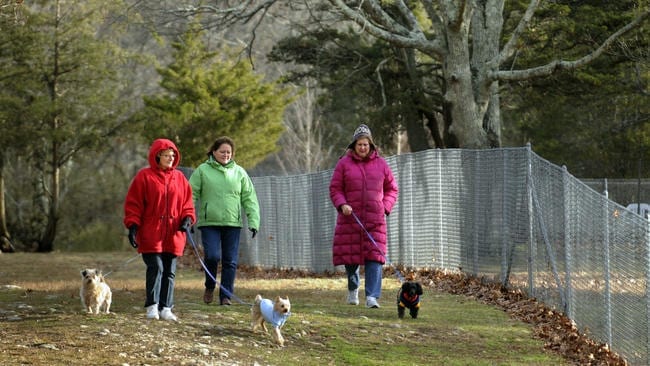 hc-the-connecticut-town-with-the-most-dogs-per-002