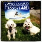Dog Guard of Eastern CT & RI