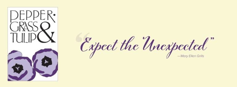 37854360 2176393325704533 4705019102333239296 o 768x284