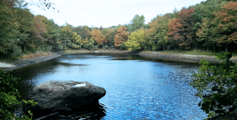 Haley Farm State Park Groton CT 1024x519 768x389