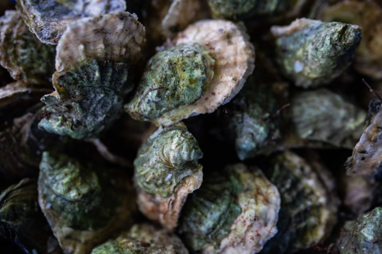 oyster club mystic ct groton 768x512