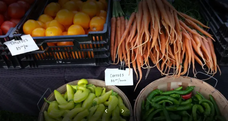 Groton Farmers Market 4 768x408