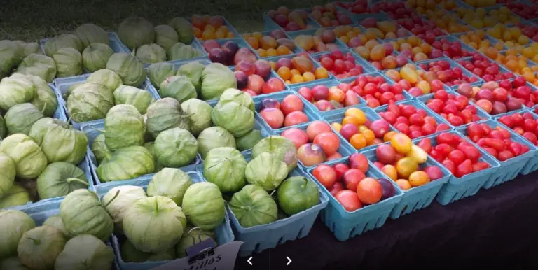 Groton Farmers Market 5 768x386