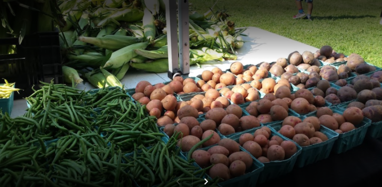 Groton Farmers Market 6 768x377