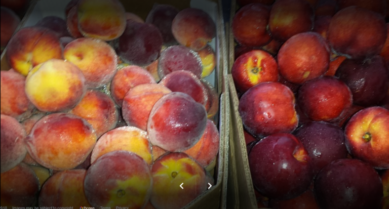 Groton Farmers Market 768x413
