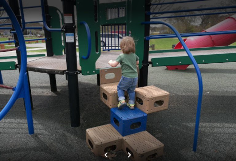 Tercentennial Legacy Playground 2 768x524